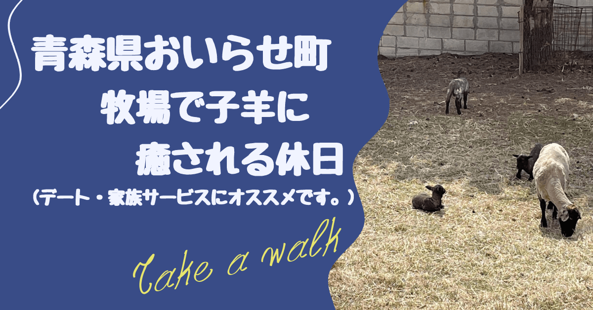 可愛い羊の赤ちゃんと少しリッチな牧場ランチを堪能してきた 青森県おいらせ町 カワヨグリーン牧場 ゆめねこブログ